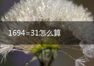 1694=31怎么算