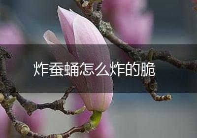 炸蚕蛹怎么炸的脆
