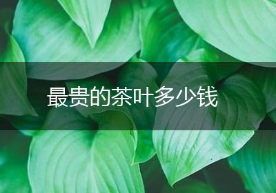 最贵的茶叶多少钱