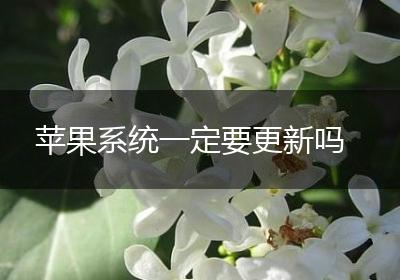 苹果系统一定要更新吗