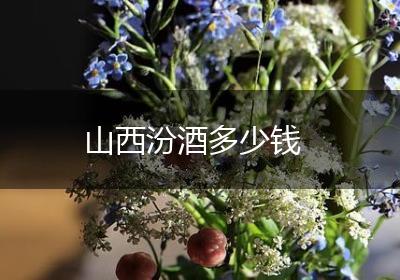 山西汾酒多少钱