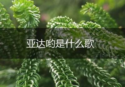 亚达哟是什么歌