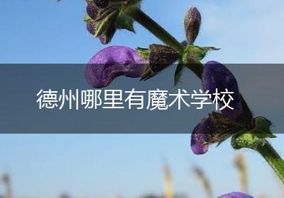 德州哪里有魔术学校