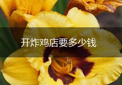 开炸鸡店要多少钱