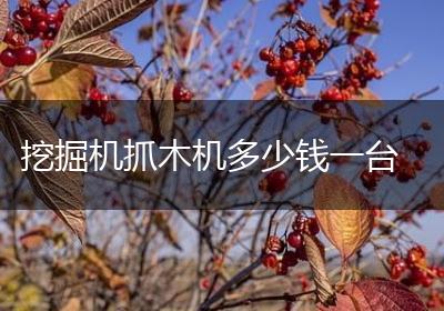 挖掘机抓木机多少钱一台