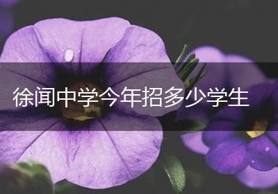 徐闻中学今年招多少学生