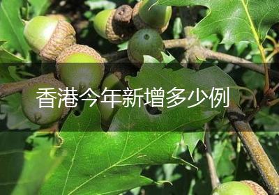 香港今年新增多少例
