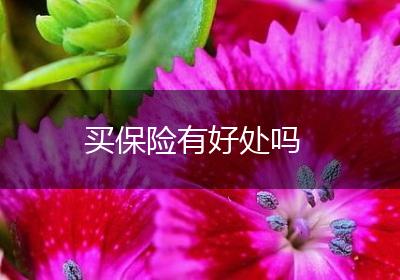 买保险有好处吗