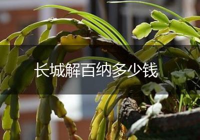 长城解百纳多少钱