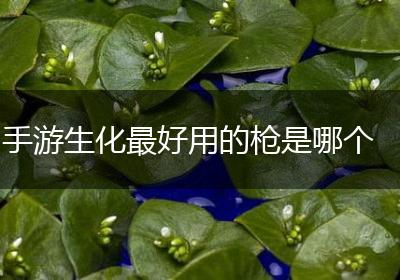 手游生化最好用的枪是哪个