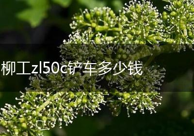 柳工zl50c铲车多少钱