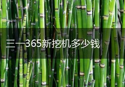 三一365新挖机多少钱