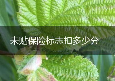 未贴保险标志扣多少分