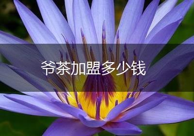 爷茶加盟多少钱