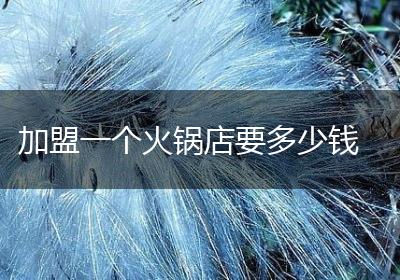 加盟一个火锅店要多少钱