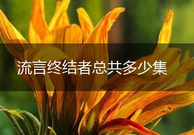 流言终结者总共多少集