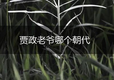 贾政老爷哪个朝代