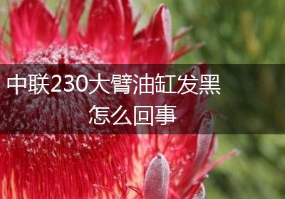 中联230大臂油缸发黑怎么回事