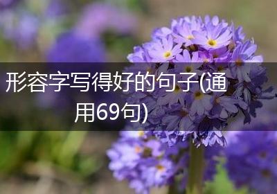 形容字写得好的句子(通用69句)
