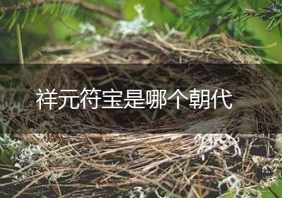 祥元符宝是哪个朝代