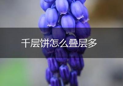 千层饼怎么叠层多
