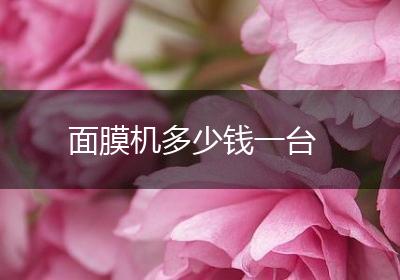 面膜机多少钱一台