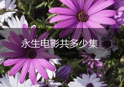 永生电影共多少集