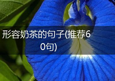 形容奶茶的句子(推荐60句)