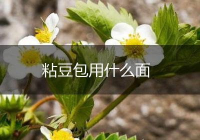 粘豆包用什么面