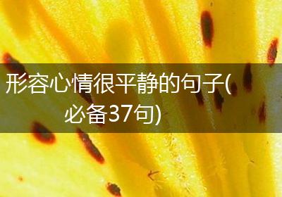 形容心情很平静的句子(必备37句)