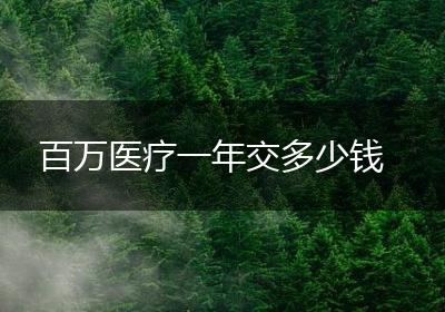 百万医疗一年交多少钱