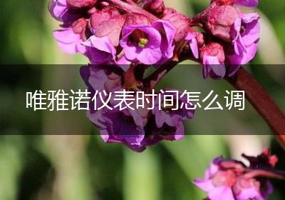 唯雅诺仪表时间怎么调