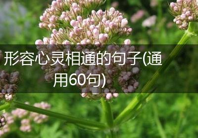 形容心灵相通的句子(通用60句)