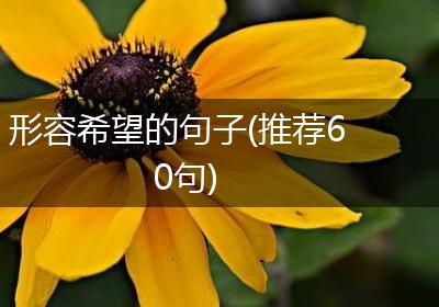 形容希望的句子(推荐60句)
