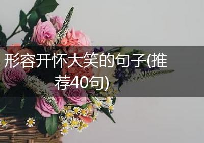 形容开怀大笑的句子(推荐40句)