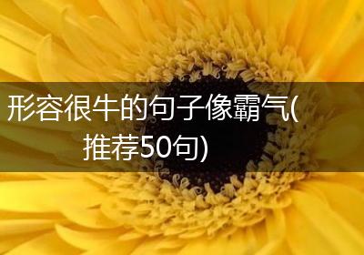 形容很牛的句子像霸气(推荐50句)