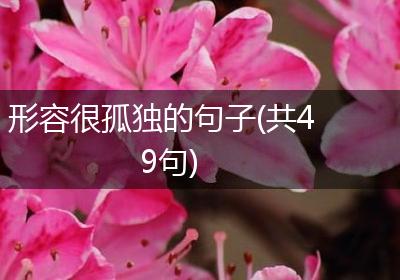 形容很孤独的句子(共49句)