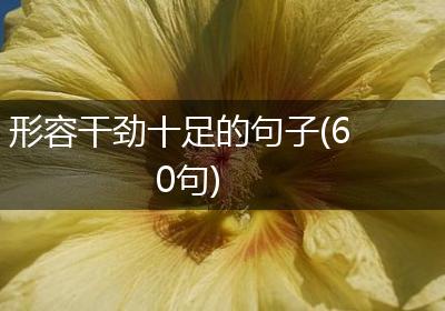 形容干劲十足的句子(60句)