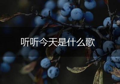 听听今天是什么歌
