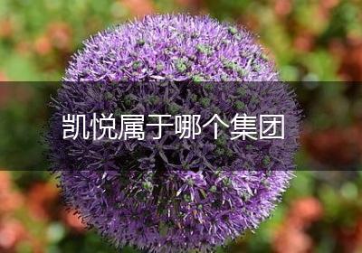 凯悦属于哪个集团