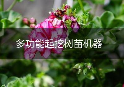 多功能起挖树苗机器
