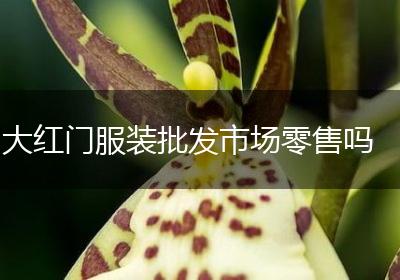 大红门服装批发市场零售吗