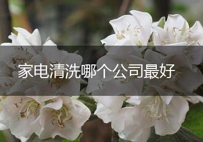 家电清洗哪个公司最好