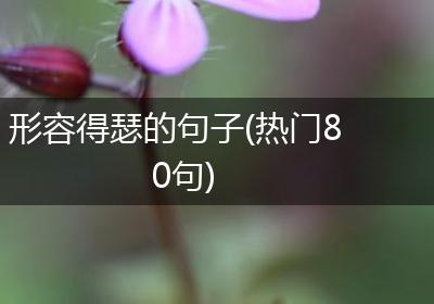 形容得瑟的句子(热门80句)