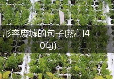 形容废墟的句子(热门40句)
