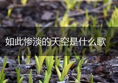 如此惨淡的天空是什么歌