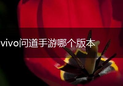 vivo问道手游哪个版本