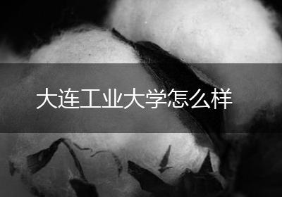 大连工业大学怎么样