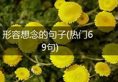 形容想念的句子(热门69句)