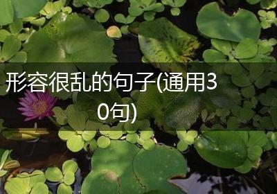 形容很乱的句子(通用30句)